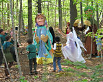 Spring tableau in the woods